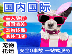 二连浩特赛乌素机场邮寄国际宠物托运 【国